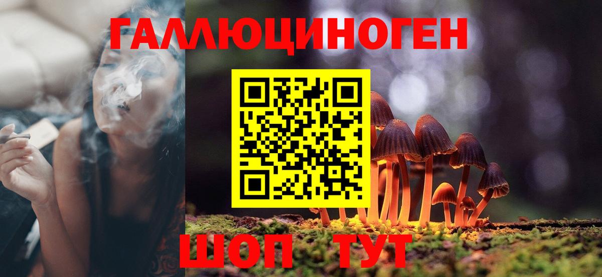 Солнечногорск  дарнет шоп  Вход с VPN  Галлюциногенные грибы мицелий 